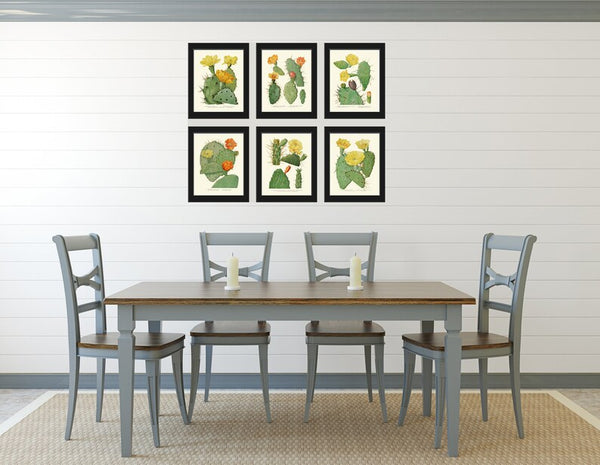Cactus Botanical Wall Decor Art Set of 6 Prints Beautiful Antique Vintage Colorful Blooming Tropical Garden Flowers Succulents to Frame ME