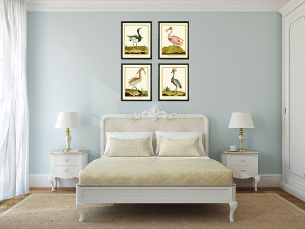 Bird Wall Art Print Set of 4 Prints Beautiful Antique Great Blue Heron Pink Roseate Spoonbill Crowned Crane Lake River Decor to Frame MF