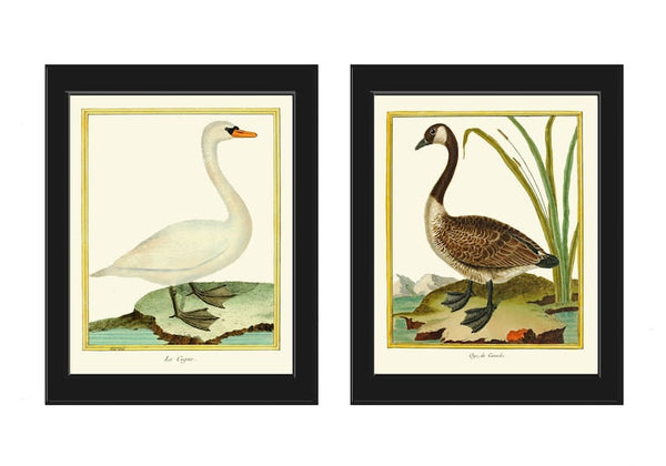 Bird Wall Art Print Set of 2 Prints Beautiful Antique Vintage Goose Geese Lake River Nature Home Bedroom Living Room Decor to Frame MF