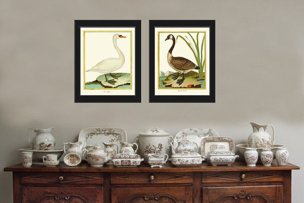 Bird Wall Art Print Set of 2 Prints Beautiful Antique Vintage Goose Geese Lake River Nature Home Bedroom Living Room Decor to Frame MF