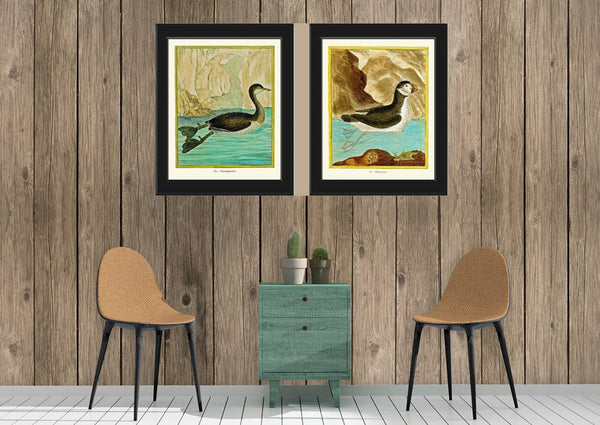 Bird Wall Art Print Set of 2 Prints Beautiful Antique Puffin Little Grebe Aqua Turquoise Birds Lake River Outdoor Nature Decor to Frame MF