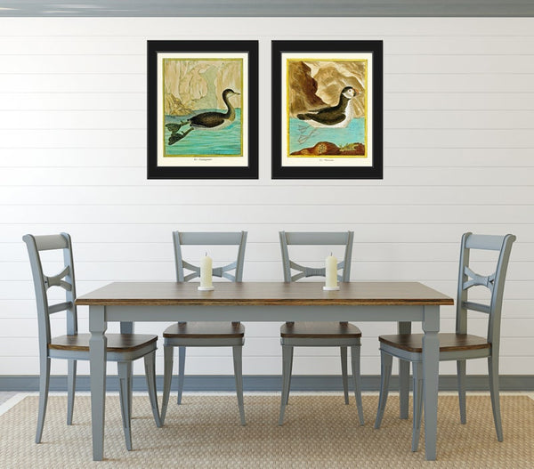 Bird Wall Art Print Set of 2 Prints Beautiful Antique Puffin Little Grebe Aqua Turquoise Birds Lake River Outdoor Nature Decor to Frame MF