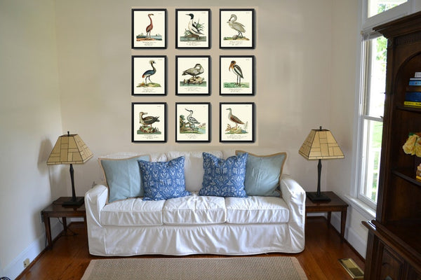 Birds Wall Art Print Set of 9 Beautiful Antique Vintage Lake Outdoor Nature Swan Crane Duck Pelican Flamingo Picture Home Decor to Frame HJF