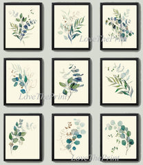 Eucalyptus Botanical Prints Wall Art Set of 9 Beautiful Watercolor Illustration Blue Green Tree Leaf Leaves Home Room Decor to Frame CMEU