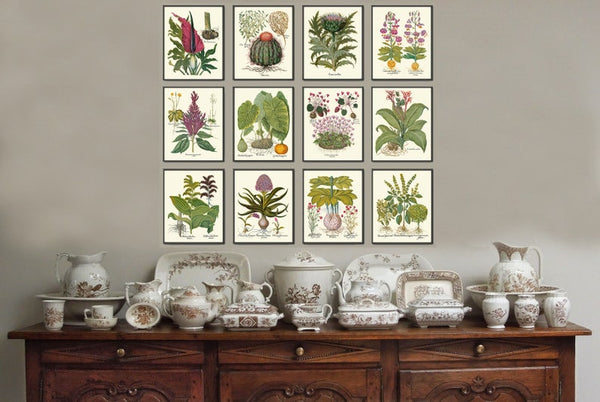 Botanical Decor Wall Art Set of 12 Prints Beautiful Vintage Antique Purple Violet Yellow Thistle Cactus Wildflowers Home Decor to Frame BESL