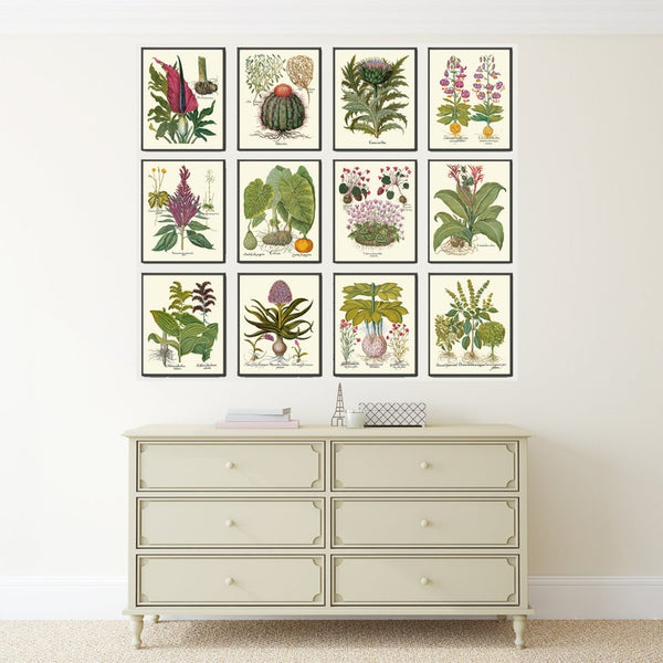 Botanical Decor Wall Art Set of 12 Prints Beautiful Vintage Antique Purple Violet Yellow Thistle Cactus Wildflowers Home Decor to Frame BESL