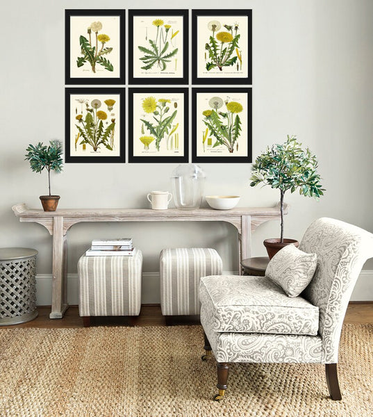 Dandelion Botanical Wall Art Set of 6 Prints Beautiful Antique Vintage Yellow Wildflowers Dandelions Flowers Home Room Decor to Frame DAND