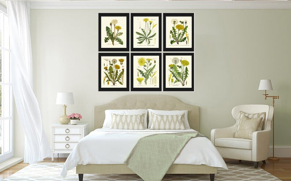 Dandelion Botanical Wall Art Set of 6 Prints Beautiful Antique Vintage Yellow Wildflowers Dandelions Flowers Home Room Decor to Frame DAND