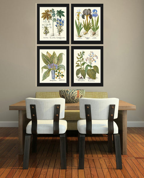 Botanical Wall Art Set of 4 Prints Beautiful Antique Vintage Blue Flowers Hellebores Iris Green Leaf Natural Nature Deocor to Frame BESL