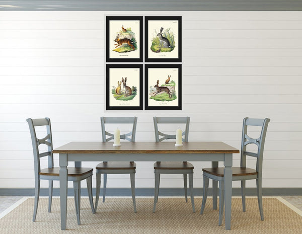 Bunny Wall Art Print Set of 4 Beautiful Antique Vintage Rabbit Farm Animal Pet Farmhouse Cute Baby Rabbits Home Room Decor to Frame BUNNY