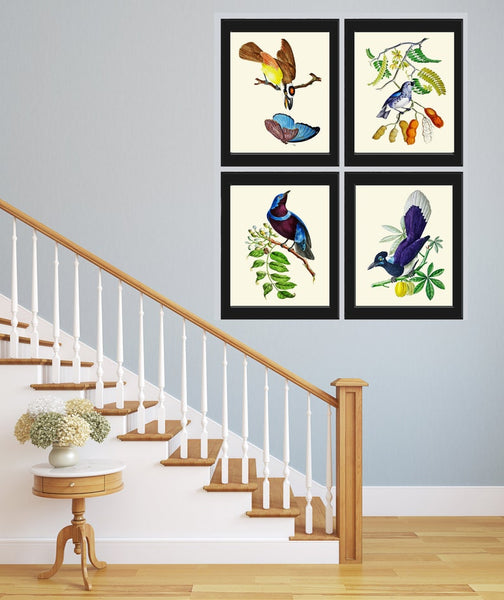 Blue Bird Butterfly Wall Art Print Set of 4 Beautiful Vintage Antique Birds Illustration Watercolor Botanical Fruit Trees Decor to Frame OBB