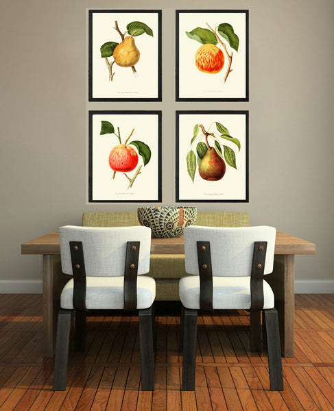 Vintage Pear Fruit Botanical Wall Decor Art Prints Set of 4 Beautiful Antique Illustration Kitchen Dining Room Farm Tree Decor to Frame HOVE
