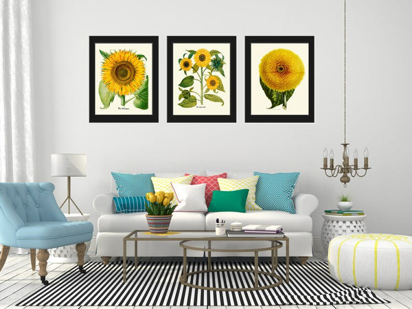 Sunflower Botanical Prints Wall Art Set of 3 Beautiful Large Flowers Yellow Colorful Floral Decor Decoration Home Room Decor to Frame SUN
