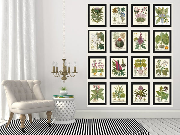 Botanical Prints Large Gallery Wall Art Set of 16 Beautiful Vintage Interior Design Designer Tropical Flowers Plant Home Decor to Frame BESL