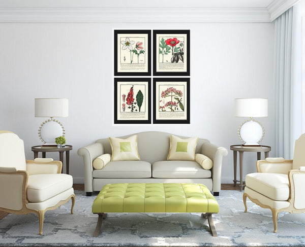 Vintage Botanical Wall Art Print Set of 4 Beautiful Antique Pink White Green Floral Chart Illustration Farmhouse Home Decor to Frame HDLF
