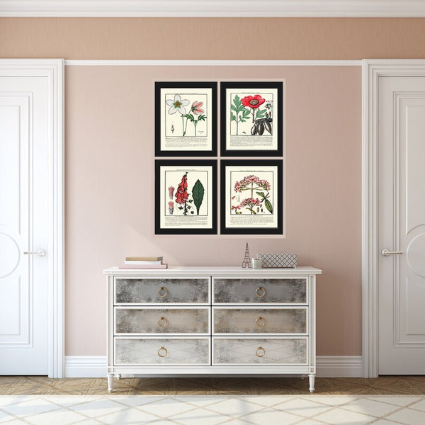 Vintage Botanical Wall Art Print Set of 4 Beautiful Antique Pink White Green Floral Chart Illustration Farmhouse Home Decor to Frame HDLF