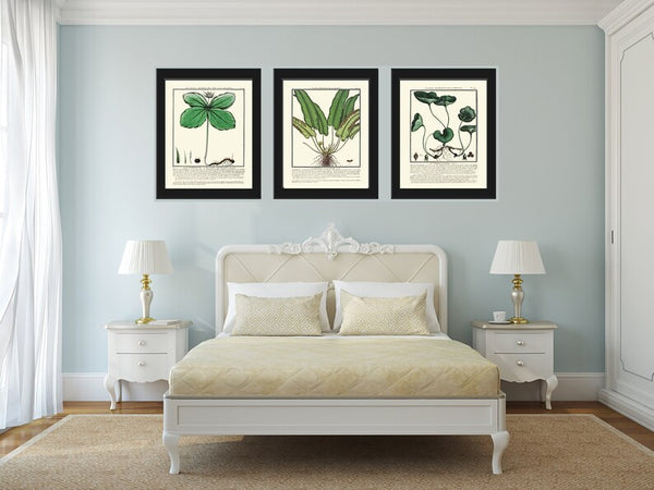 Fern Green Wildflowers Botanical Wall Art Set of 3 Prints Beautiful Antique Vintage Forest Outdoor Cabin Farmhouse Home Decor to Frame HDLF