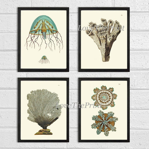 Jellyfish Coral Wall Art Set of 4 Beautiful Antique Vintage Sea Ocean Beach Tropical Bathroom Bedroom Illustration Home Decor to Frame NS