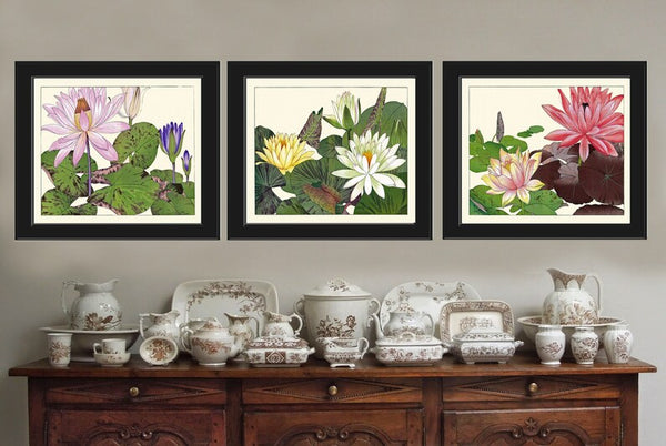 Water Lily Lotus Botanical Wall Art Set of 3 Prints Beautiful Pink White Lake River Nature Flowers Horizontal Orientation to Frame ZUFU