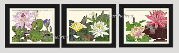 Water Lily Lotus Botanical Wall Art Set of 3 Prints Beautiful Pink White Lake River Nature Flowers Horizontal Orientation to Frame ZUFU