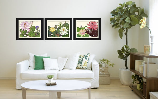 Water Lily Lotus Botanical Wall Art Set of 3 Prints Beautiful Pink White Lake River Nature Flowers Horizontal Orientation to Frame ZUFU