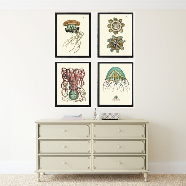 Octopus Jellyfish Wall Art Set of 4 Beautiful Antique Vintage Sea Ocean Beach Tropical Bathroom Bedroom Illustration Home Decor to Frame NS