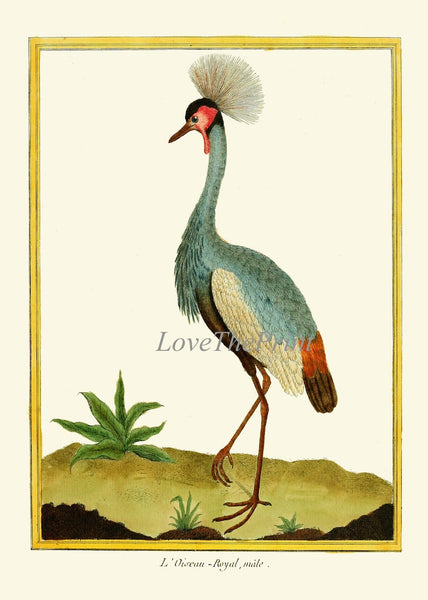 Bird Wall Art Print Set of 2 Prints Beautiful Antique Gray Crowned Crane Roseate Spoonbill Blue Pink Birds Lake River Nature Home Decor MF