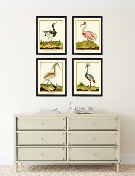 Bird Wall Art Print Set of 4 Prints Beautiful Antique Great Blue Heron Pink Roseate Spoonbill Crowned Crane Lake River Decor to Frame MF