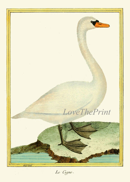 Bird Wall Art Print Set of 2 Prints Beautiful Antique Vintage Goose Geese Lake River Nature Home Bedroom Living Room Decor to Frame MF