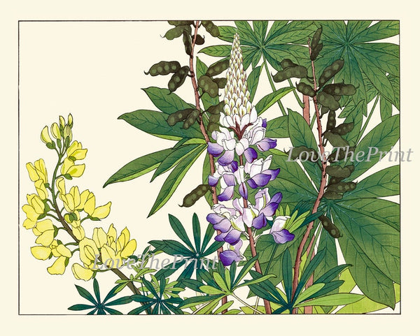 Botanical Wall Art Set of 9 Prints Beautiful Vintage Antique Blue Pink Flowers Wildflowers Horizontal Orientation Home Decor to Frame SUFU