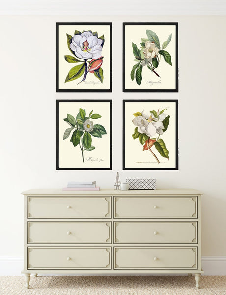 Blooming Magnolia Tree White Flowers Botanical Print Set of 4 Prints Beautiful Antique Wall Art Southern Garden Home Decor to Frame MAGN