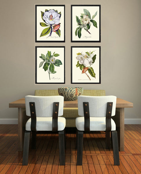 Blooming Magnolia Tree White Flowers Botanical Print Set of 4 Prints Beautiful Antique Wall Art Southern Garden Home Decor to Frame MAGN