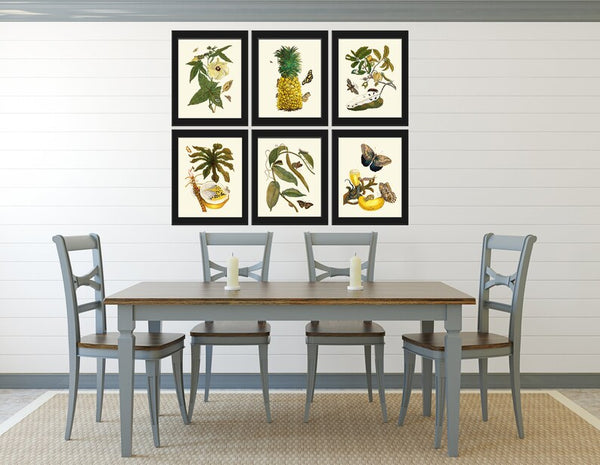 Botanical Print Set of 6 Antique Vintage Tropical Flowers Butterflies Fruit Pineapple Papaya Dining Living Toom Wall Art Decor to Frame SIBY