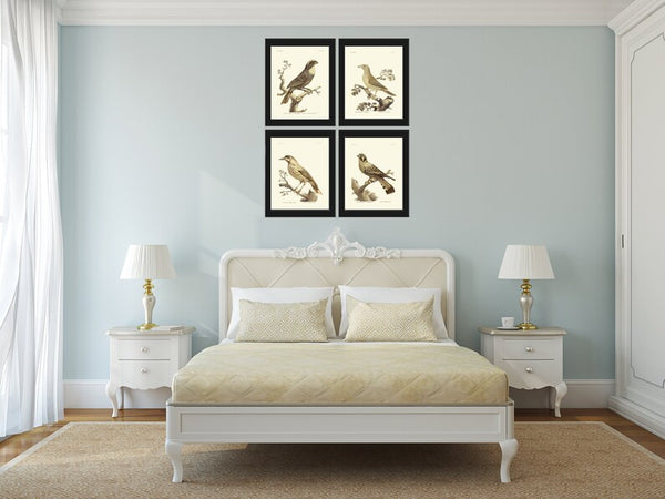 Vintage Bird Wall Art Print Set of 4 Prints Beautiful Antique Cottage Farmhouse Natural Colors Birds Illustration Home Decor to Frame BARR