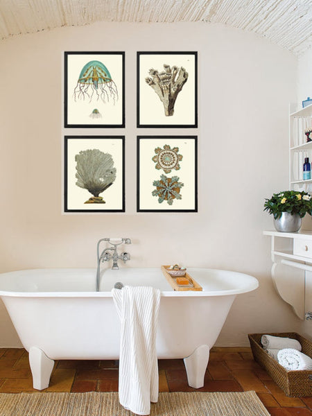 Jellyfish Coral Wall Art Set of 4 Beautiful Antique Vintage Sea Ocean Beach Tropical Bathroom Bedroom Illustration Home Decor to Frame NS