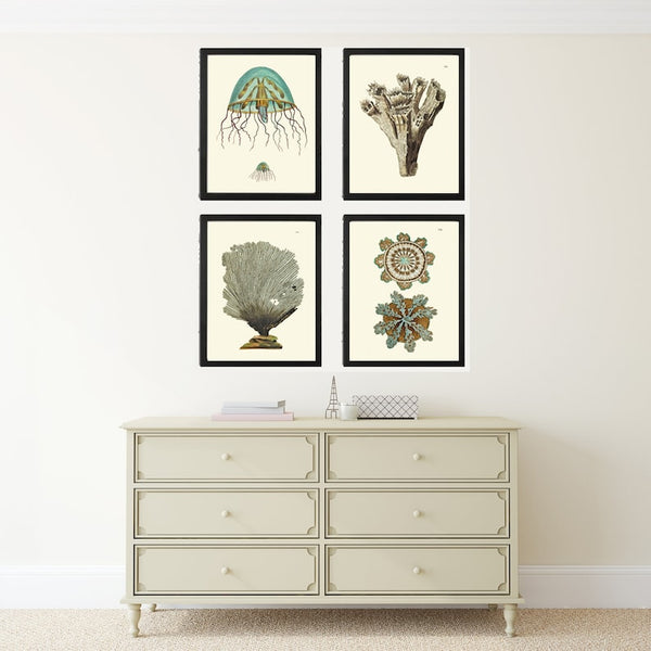 Jellyfish Coral Wall Art Set of 4 Beautiful Antique Vintage Sea Ocean Beach Tropical Bathroom Bedroom Illustration Home Decor to Frame NS