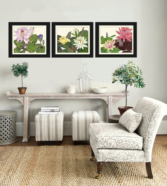 Water Lily Lotus Botanical Wall Art Set of 3 Prints Beautiful Pink White Lake River Nature Flowers Horizontal Orientation to Frame ZUFU