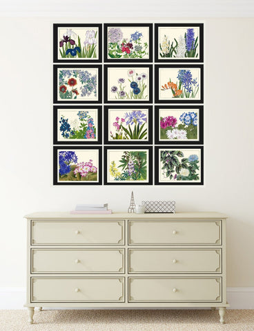White Blue Wildflowers Botanical Wall Art Set of 12 Prints Beautiful Floral Antique Vintage Horizontal Orientation Home Decor to Frame LIN