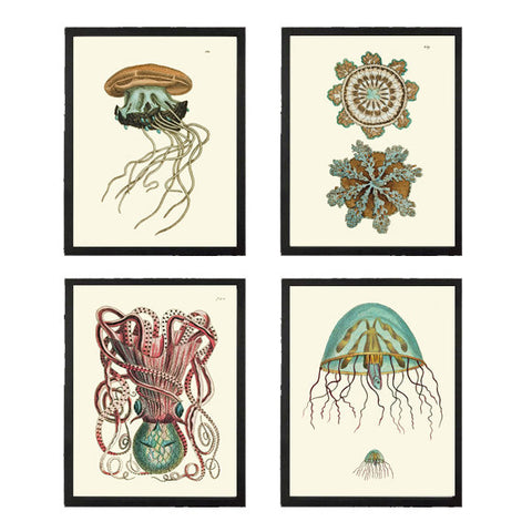 Octopus Jellyfish Wall Art Set of 4 Beautiful Antique Vintage Sea Ocean Beach Tropical Bathroom Bedroom Illustration Home Decor to Frame NS