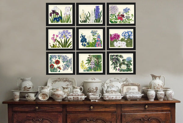 Botanical Wall Art Set of 9 Prints Beautiful Vintage Antique Blue Pink Flowers Wildflowers Horizontal Orientation Home Decor to Frame SUFU