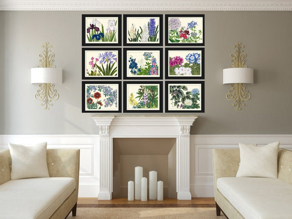 Botanical Wall Art Set of 9 Prints Beautiful Vintage Antique Blue Pink Flowers Wildflowers Horizontal Orientation Home Decor to Frame SUFU