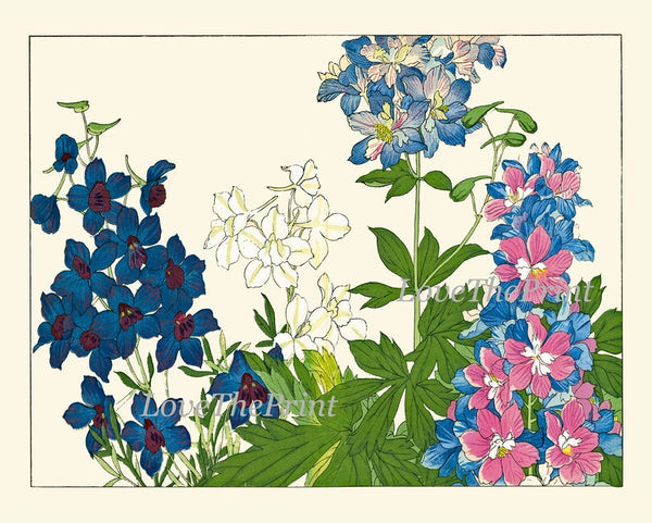 Botanical Wall Art Set of 9 Prints Beautiful Vintage Antique Blue Pink Flowers Wildflowers Horizontal Orientation Home Decor to Frame SUFU