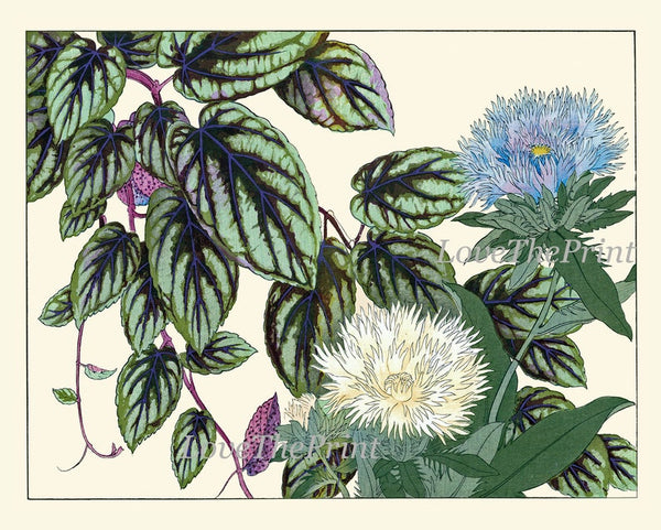 Botanical Wall Art Set of 9 Prints Beautiful Vintage Antique Blue Pink Flowers Wildflowers Horizontal Orientation Home Decor to Frame SUFU