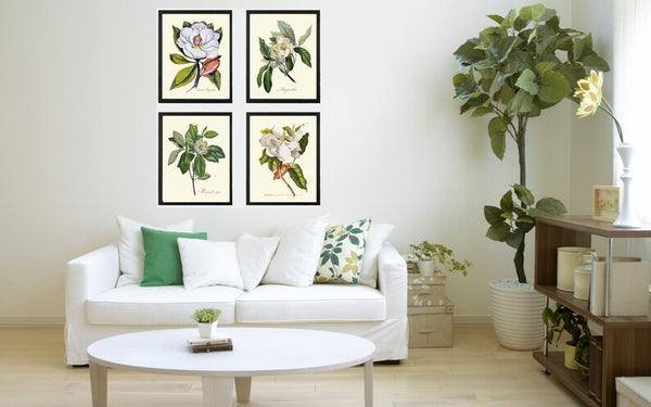 Blooming Magnolia Tree White Flowers Botanical Print Set of 4 Prints Beautiful Antique Wall Art Southern Garden Home Decor to Frame MAGN