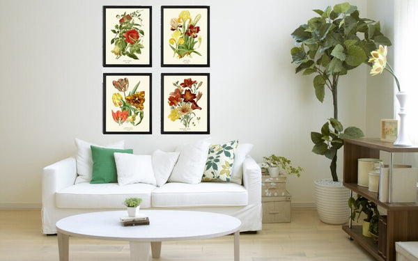 Botanical Print Set of 4 Prints Tulip Lily Iris Beautiful Antique Wall Art Colorful Flowers Floral Illustration Home Room Decor to Frame STE