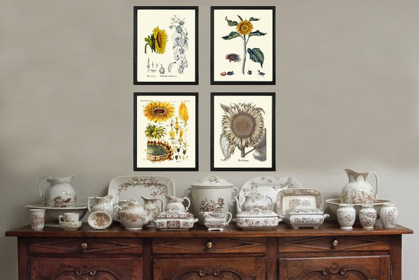 Sunflower Wall Art Print Set of 4 Beautiful Antique Vintage Yellow Country Outdoor Farmhouse Farm Flower Wildflowers Home Decor to Frame SUN