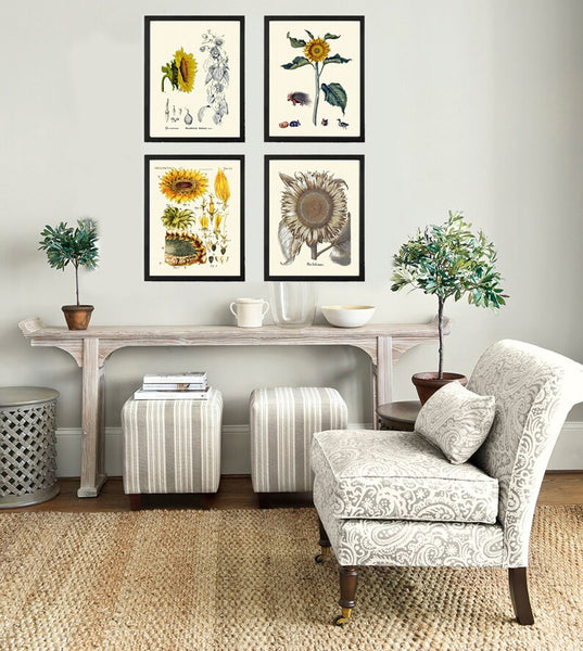 Sunflower Wall Art Print Set of 4 Beautiful Antique Vintage Yellow Country Outdoor Farmhouse Farm Flower Wildflowers Home Decor to Frame SUN