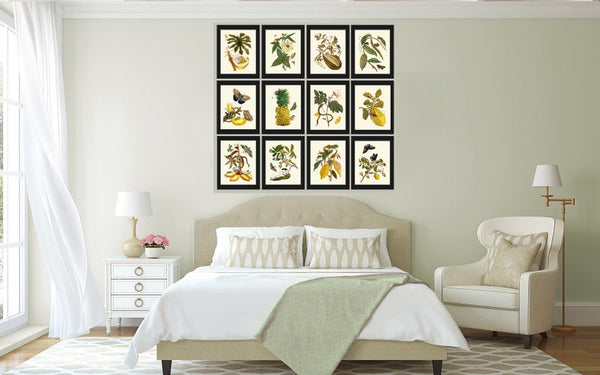 Botanical Wall Art Print Set of 12 Antique Vintage Tropical Flower Butterflies Fruit Dining Living Room Kitchen Wall Art Decor to Frame SIBY