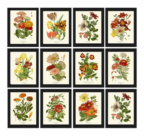 Botanical Garden Wall Art Gallery Prints Decor Set of 12 Beautiful Vintage Antique Flowers Cottage Farmhouse Home Room Decor to Frame STE