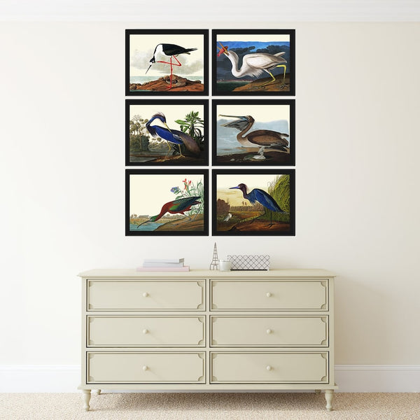 John James Audubon Birds Wall Art Prints Vintage Antique Set of 6 Ibis Crane Heron Pelican Home Room Decor Illustration Poster to Frame JJA
